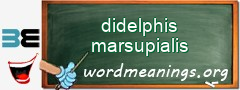 WordMeaning blackboard for didelphis marsupialis